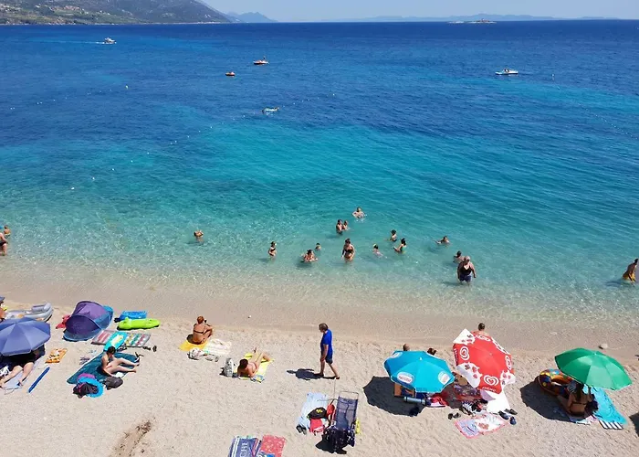 Alma オレビック